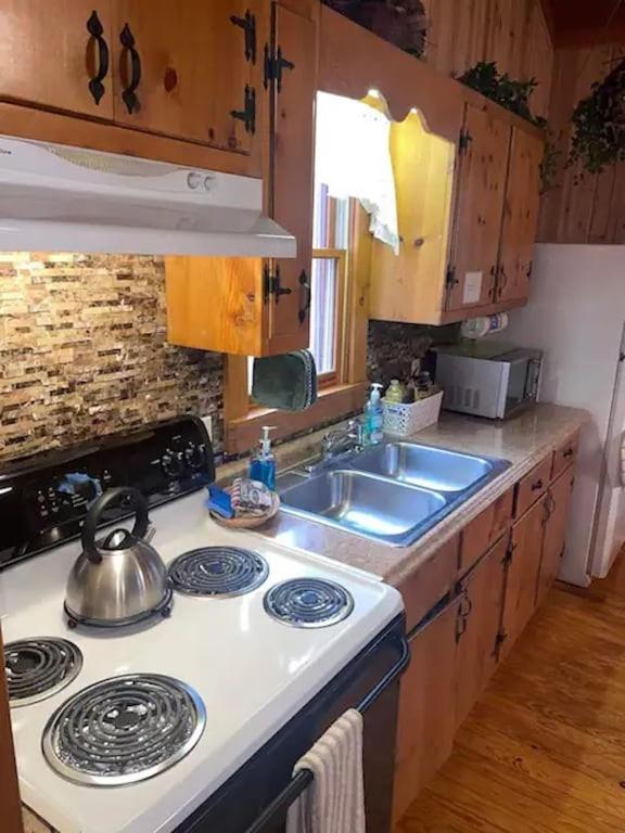 Cozy Cabin: River View With Hot Tub Dahlonega Exterior foto