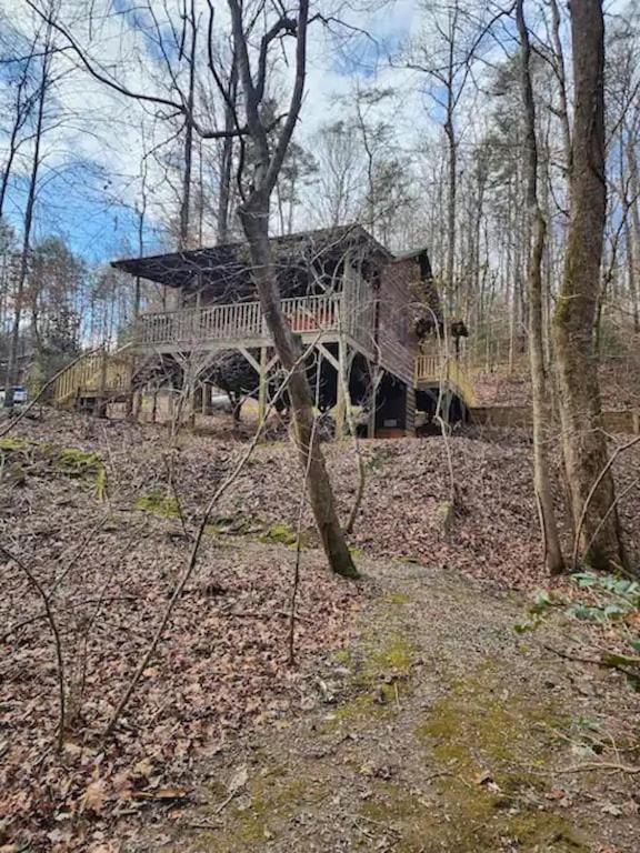 Cozy Cabin: River View With Hot Tub Dahlonega Exterior foto