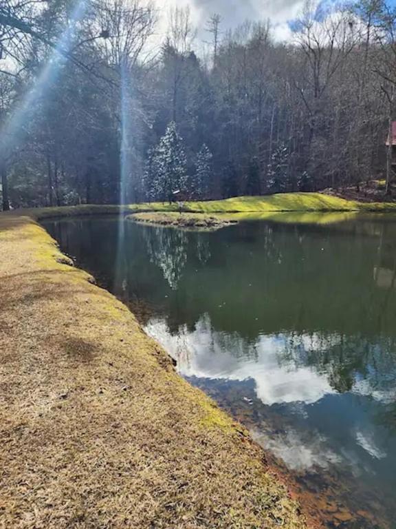 Cozy Cabin: River View With Hot Tub Dahlonega Exterior foto