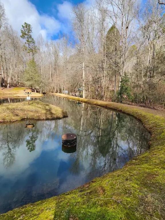 Cozy Cabin: River View With Hot Tub Dahlonega Exterior foto