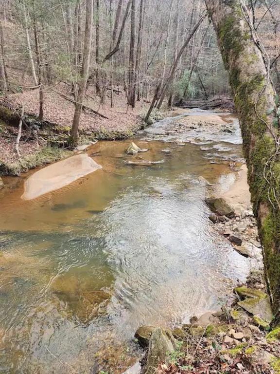 Cozy Cabin: River View With Hot Tub Dahlonega Exterior foto